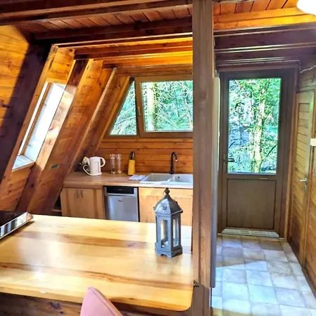 Viva Sole Nr 8 * Skorzecin