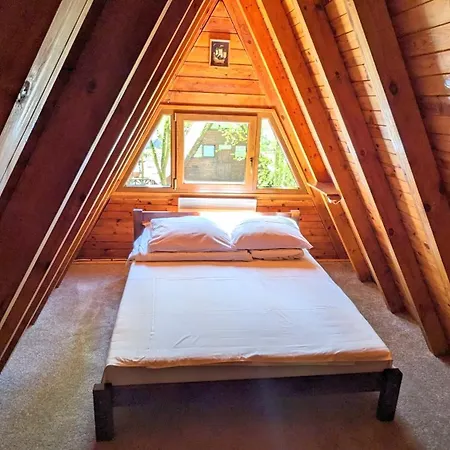 Viva Sole Nr 8 Skorzecin