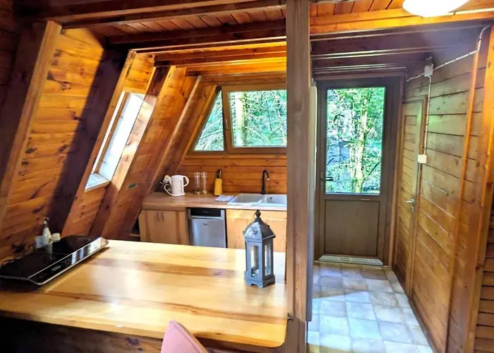 Viva Sole Nr 8 * Skorzecin