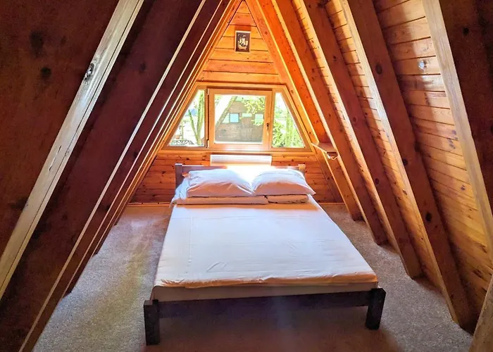 Viva Sole Nr 8 Skorzecin